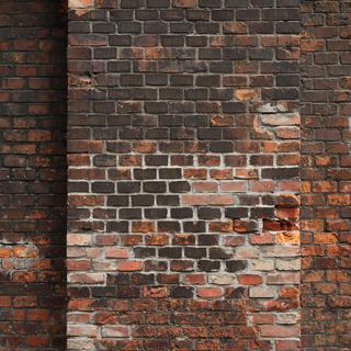 Photo Textures of Wall Bricks